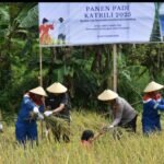 Messenger_creation_BF06EC4B-BC39-45C3-BF01-D211D517EE40