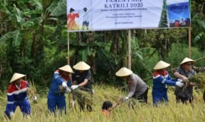 Messenger_creation_BF06EC4B-BC39-45C3-BF01-D211D517EE40